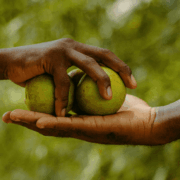 Professional Goodwill vs. Enterprise Goodwill_ Distinguishing Personal from Business Value During Divorce